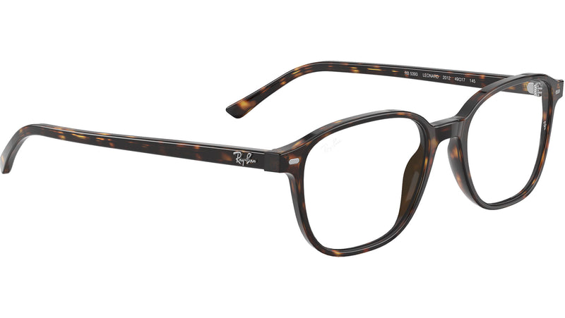 Leonard Optics RB5393 2012