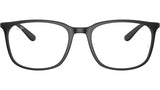 RB7199 Optics 5204
