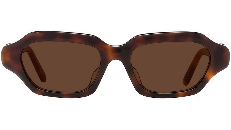 Slim Tortoise Geometric Sunglasses