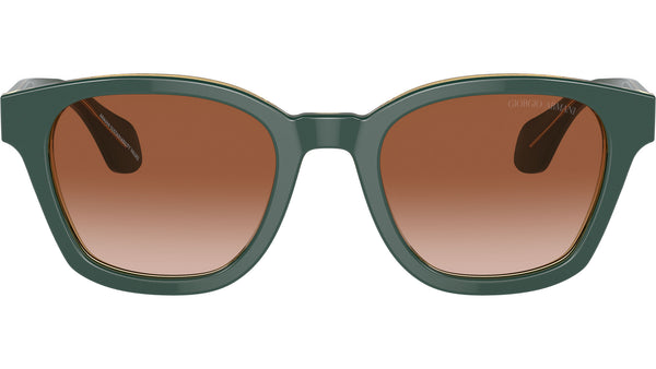AR 8207 608613 Green