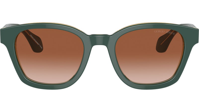 AR 8207 608613 Green
