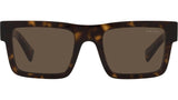 PR 19WS tortoise