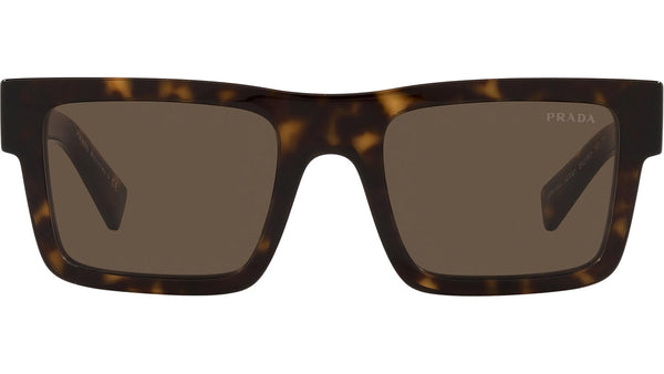 PR 19WS tortoise