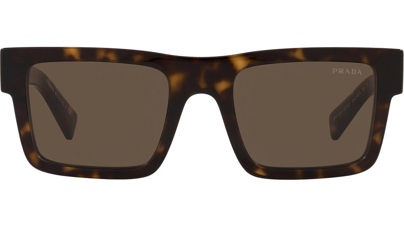 PR 19WS tortoise