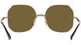 RB8067 157/73 brown on arista