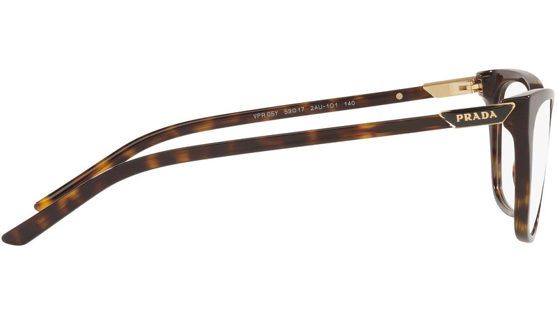 PR 05YV tortoise
