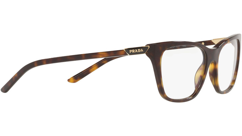 PR 05YV tortoise