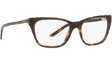 PR 05YV tortoise