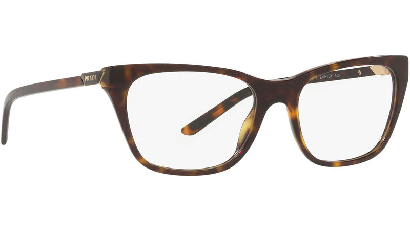PR 05YV tortoise