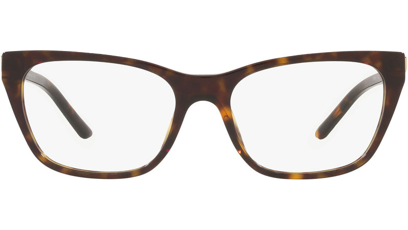 PR 05YV tortoise