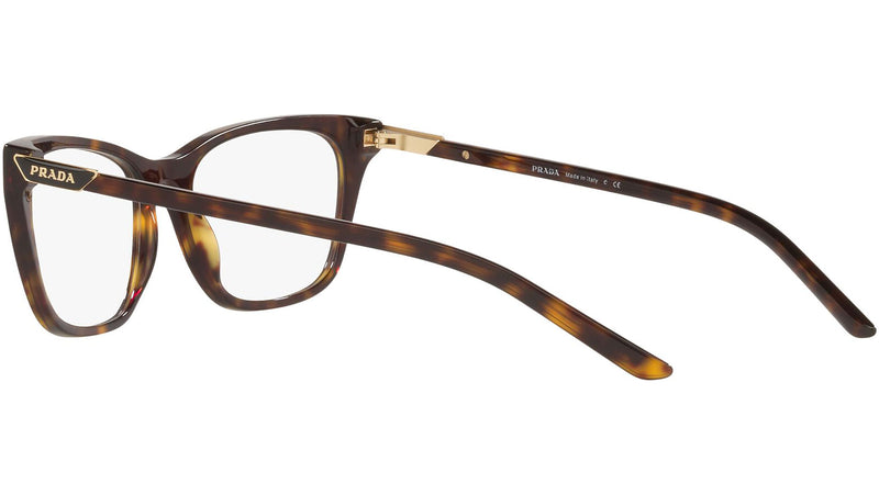 PR 05YV tortoise