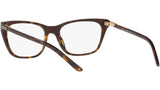 PR 05YV tortoise