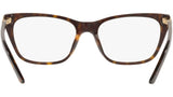 PR 05YV tortoise