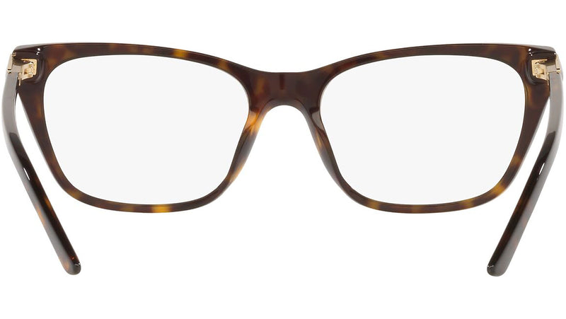 PR 05YV tortoise