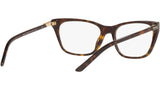 PR 05YV tortoise