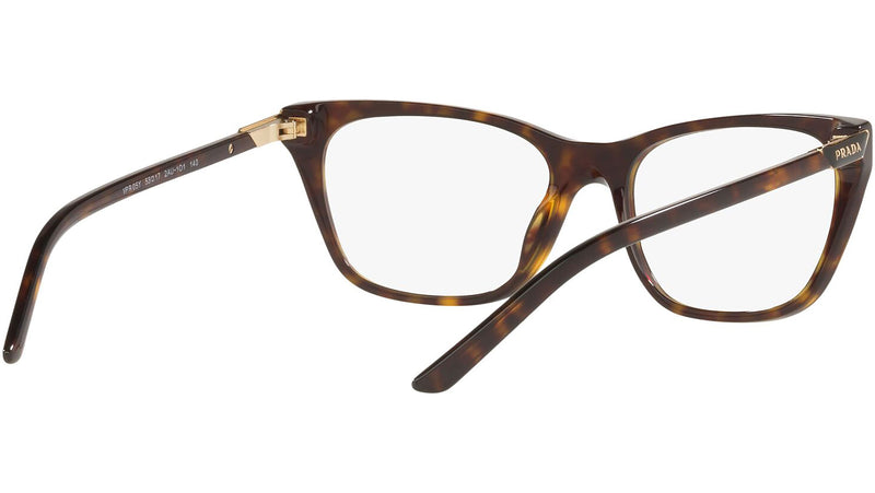 PR 05YV tortoise
