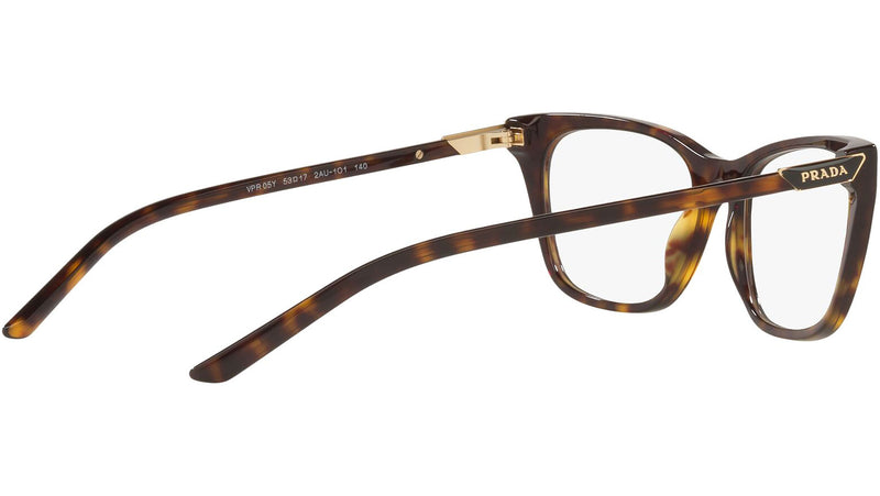 PR 05YV tortoise