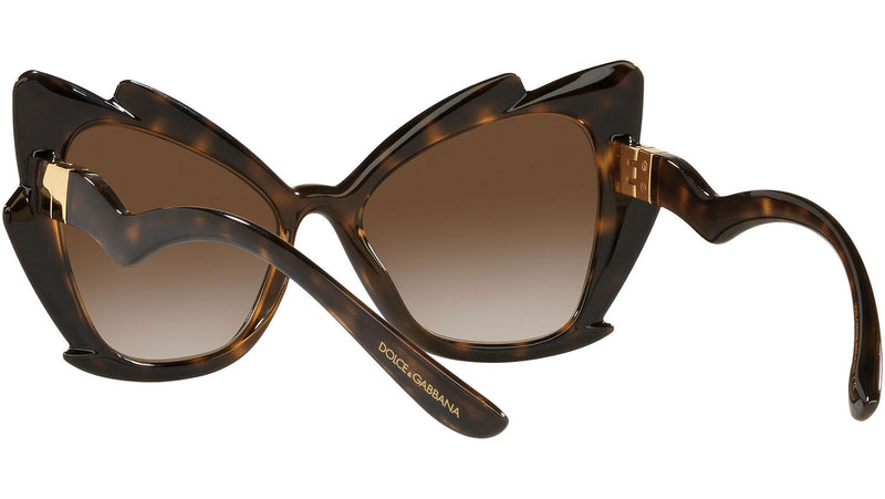 DG 6166 502/13 tortoise