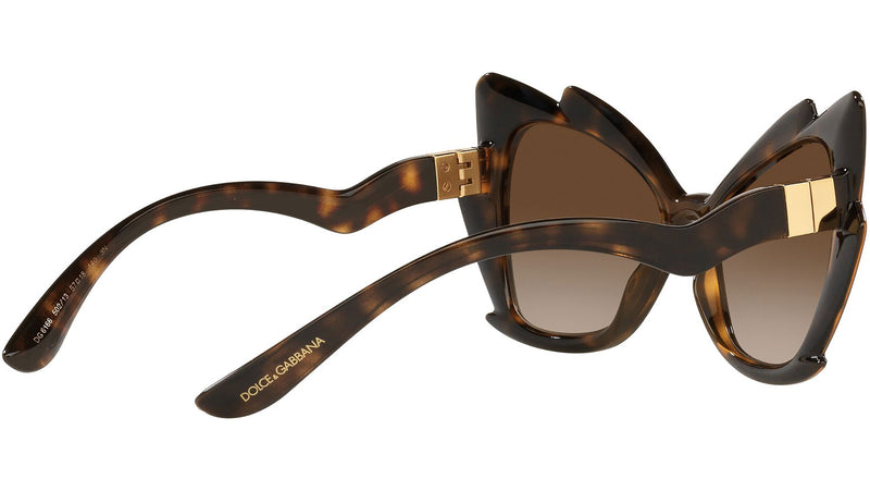 DG 6166 502/13 tortoise