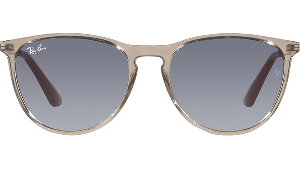 Erika RJ9060S 71094L transparent grey