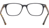 RB7119 Optics 5629