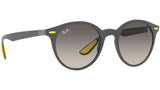 RB4296M F60811 matte grey