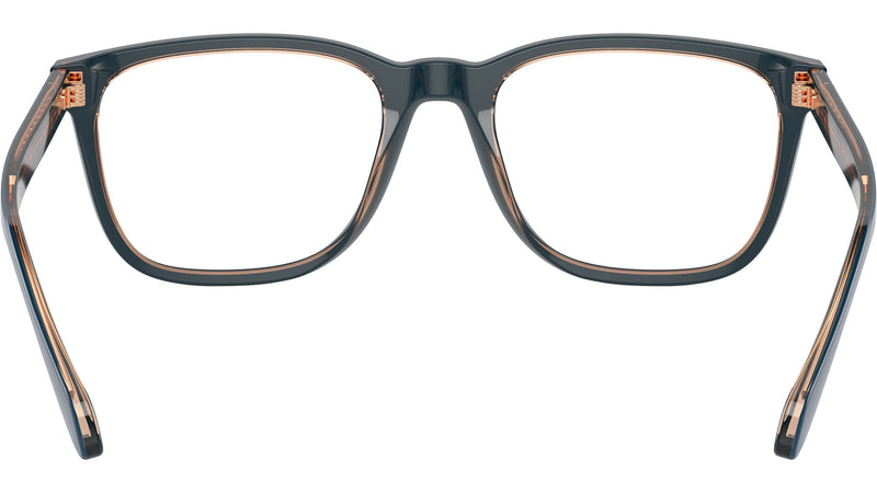AR 7255 6085 Blue Brown