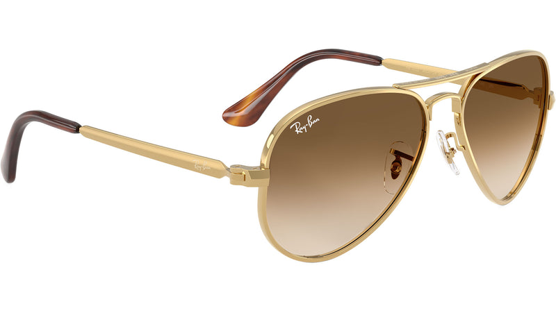 Aviator Max RB3925 001/51