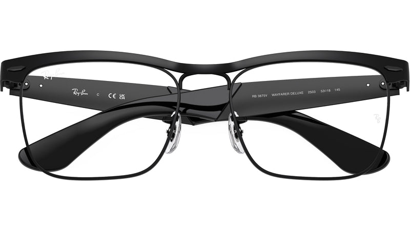 RB3875V Optics 2503