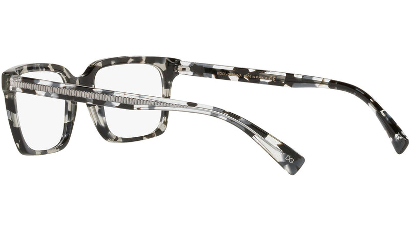 DG 3337 3172 tortoise