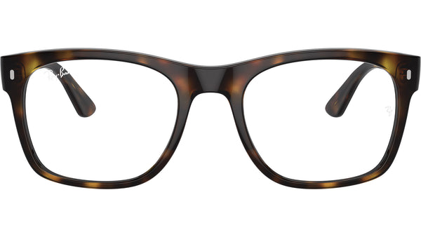 RB7228 Optics 2012