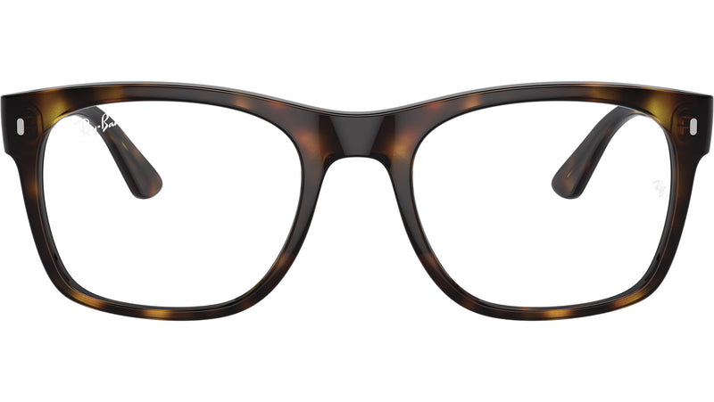 RB7228 Optics 2012