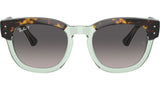 Mega Hawkeye RB0298S 1376M3 Havana Green