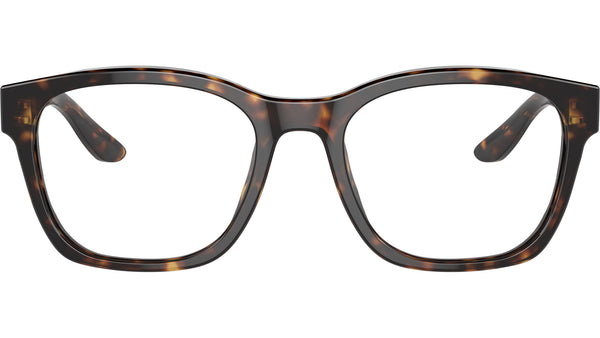 AR 7229 5879 Tortoise