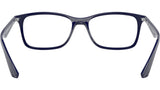 RB7047 Optics 8100