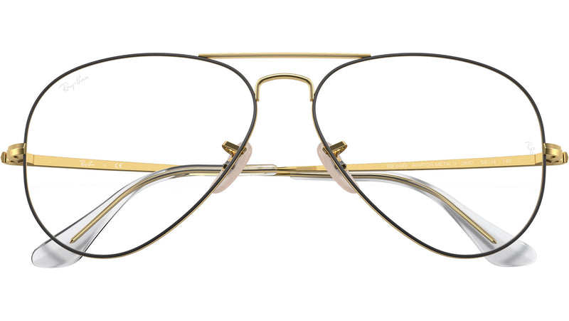 Aviator Optics RB6489 2890