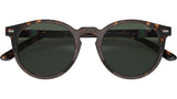 PH4151 567371 Dark Havana
