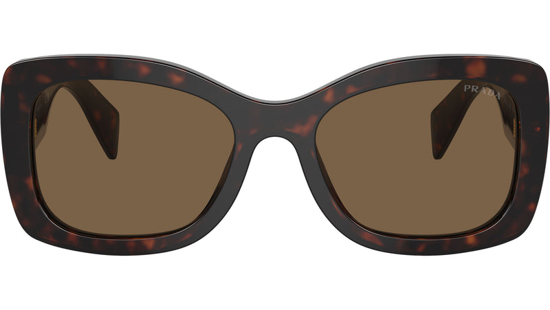 PR A08S 16N5Y1 Tortoise