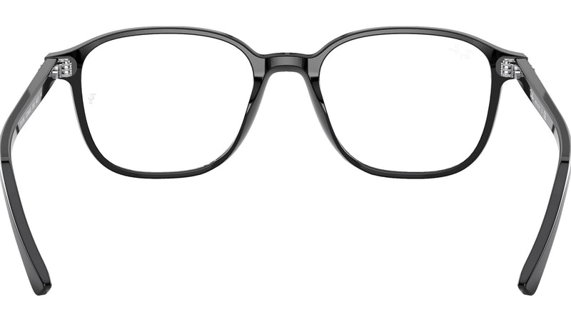 Leonard Optics RB5393 2000