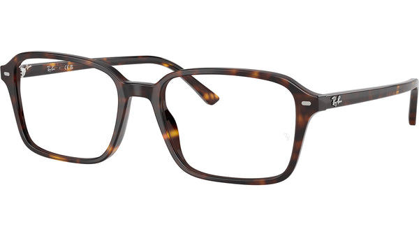 Raimond Optics RB5431 2012