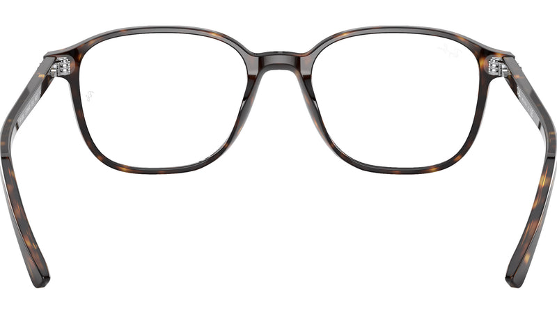 Leonard Optics RB5393 2012