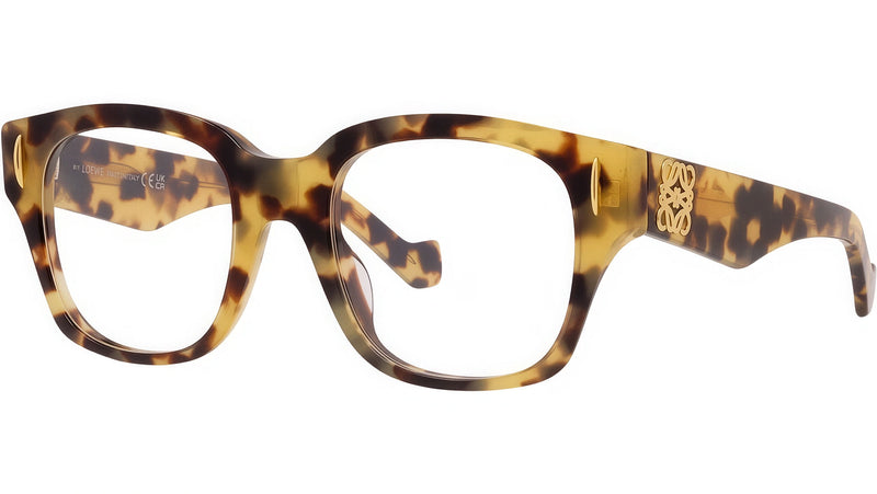 Anagram Tortoise Geometric Eyeglasses