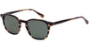 Lewis 6564 2 Tortoise