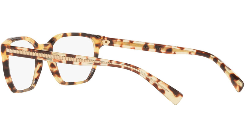 DG 3338 512 tortoise