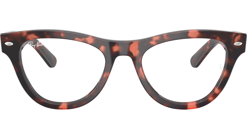 RB5510 Optics 8118