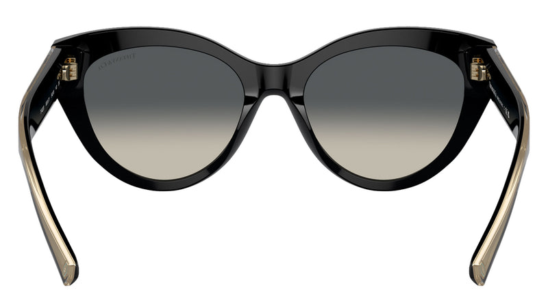 TF4220 800171 Black