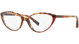3081 004 tortoise