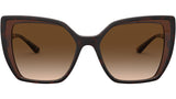 DG 6138 318513 tortoise