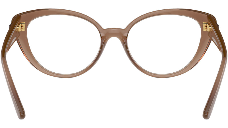 VE3349U 5427 Brown Transparent