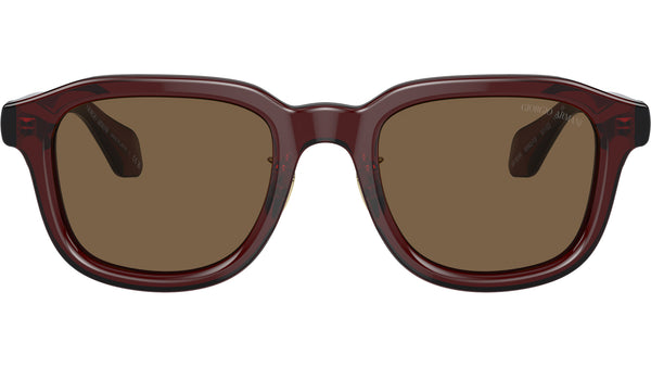 AR 8206 606273 Brown